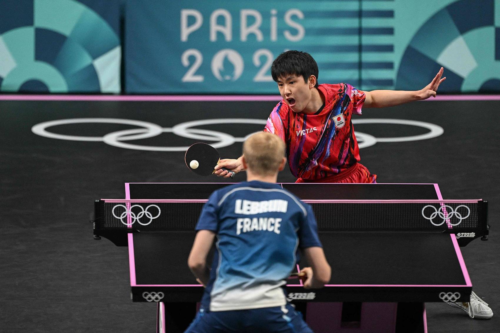 关于葡萄牙队险胜法国队，张本智和惊艳四座的信息