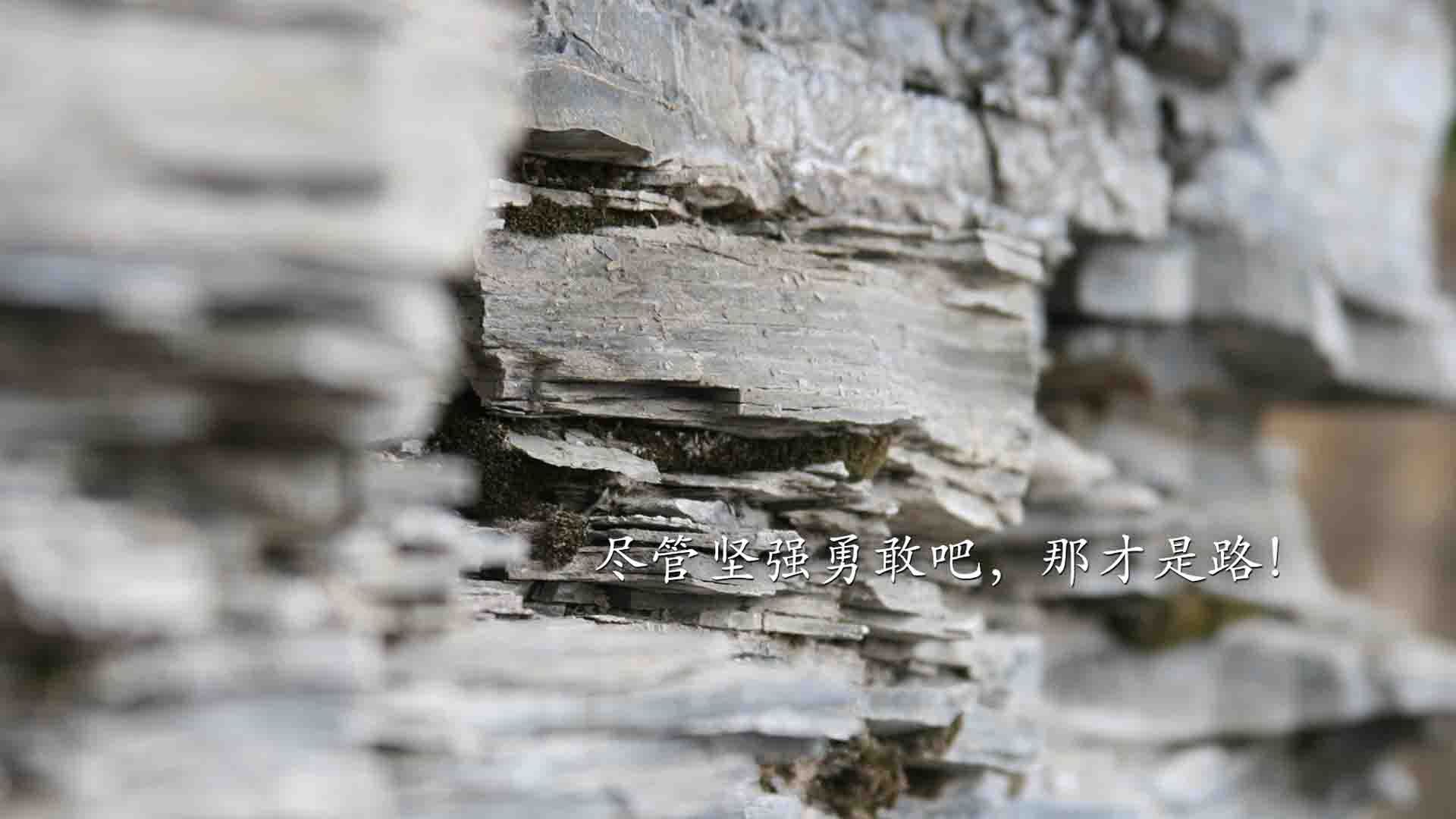 大西洋之风席卷红牛竞技场，萨内一笔画龙，葡萄牙完胜莱比锡