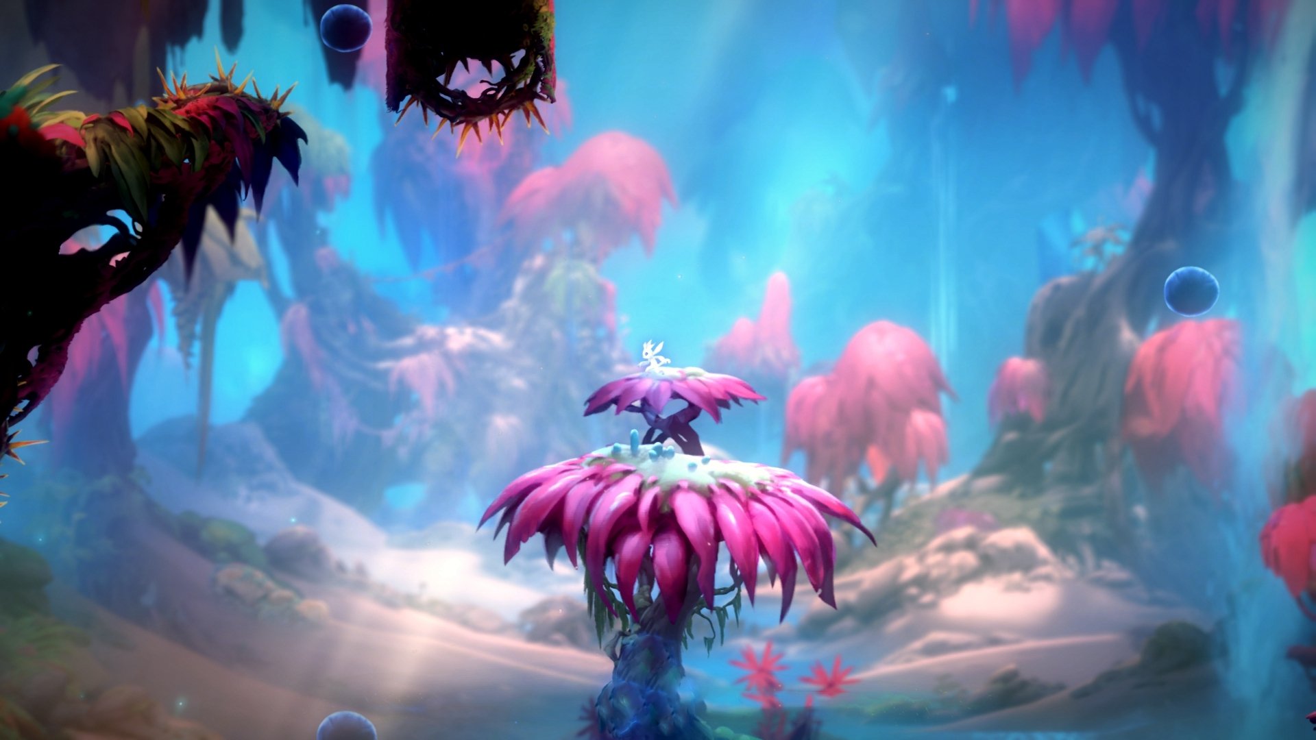 沉舟之舰与北境新王,一场重铸命运的NBA总决赛焦点战