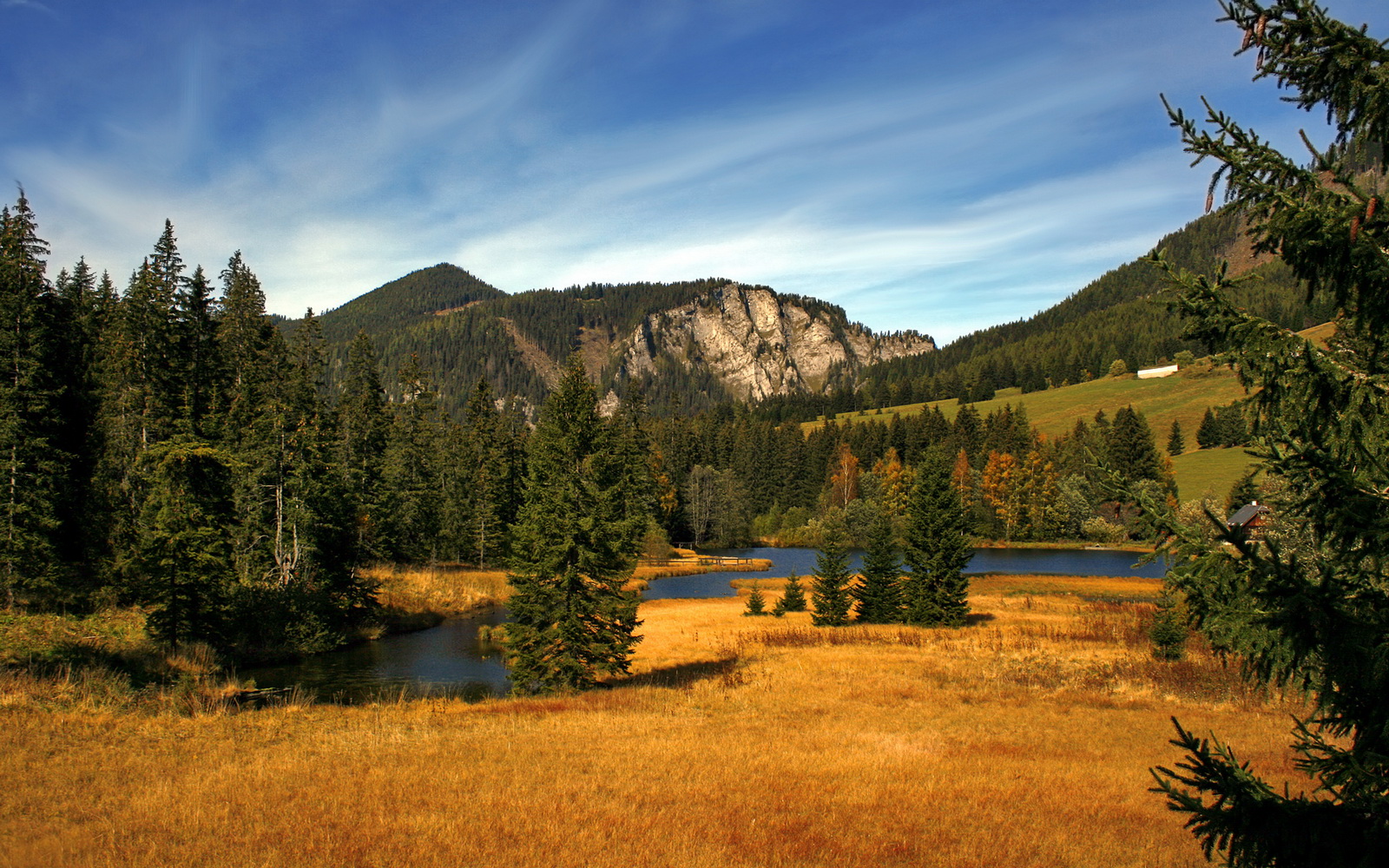 冰火重铸!东决关键战之夜,利拉德刺破苍穹完成自我救赎