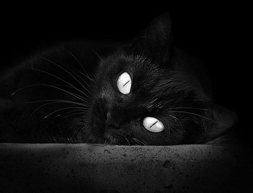 掌控的哲学，安哥拉如何用季后赛级节奏主导摩洛哥之战