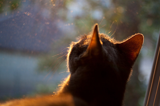 当非洲鼓点敲碎诺坎普，一场虚拟巅峰战中的神迹逆转