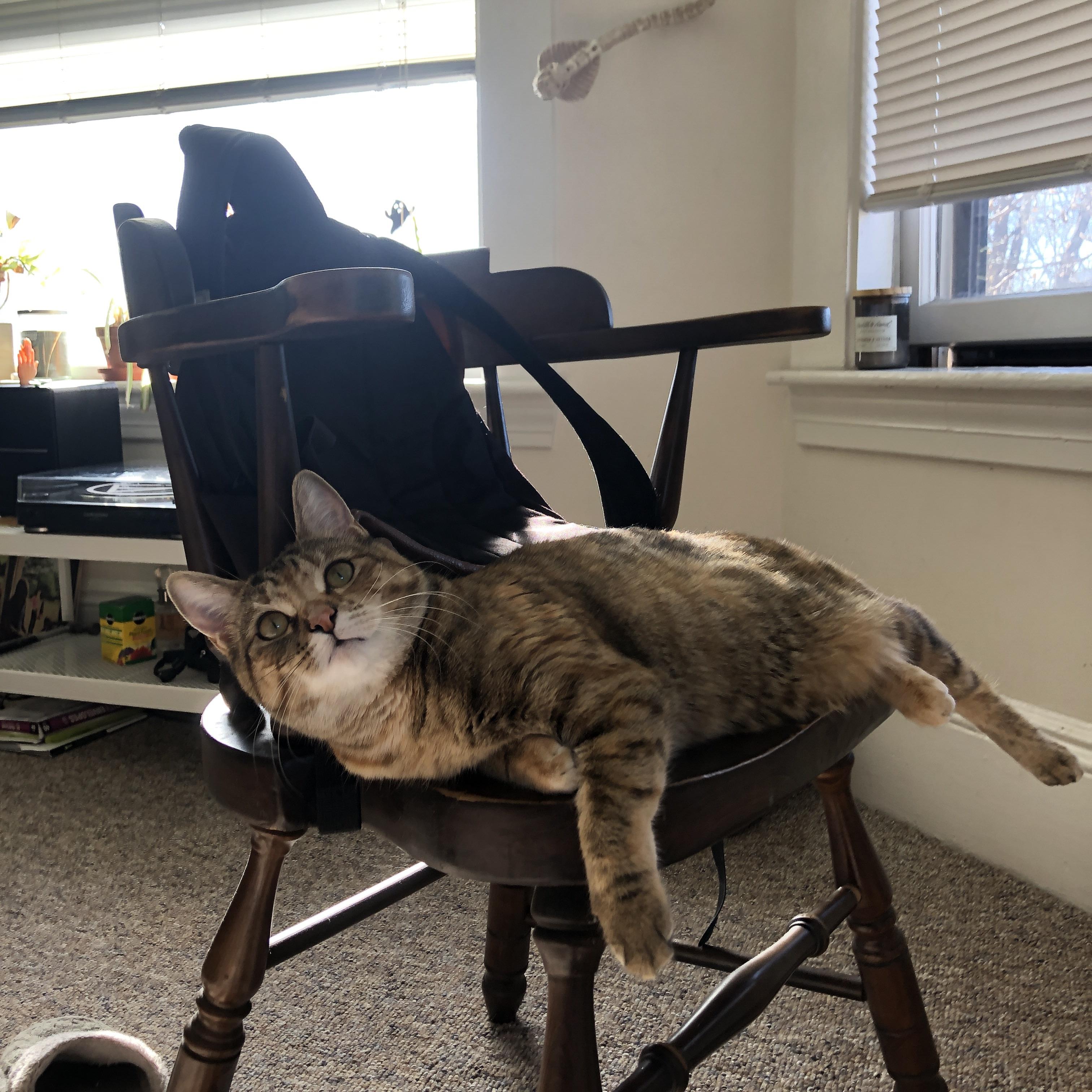 落雪无声，却见寒冰锁千军，当小贾伦的指尖改写洛杉矶天际