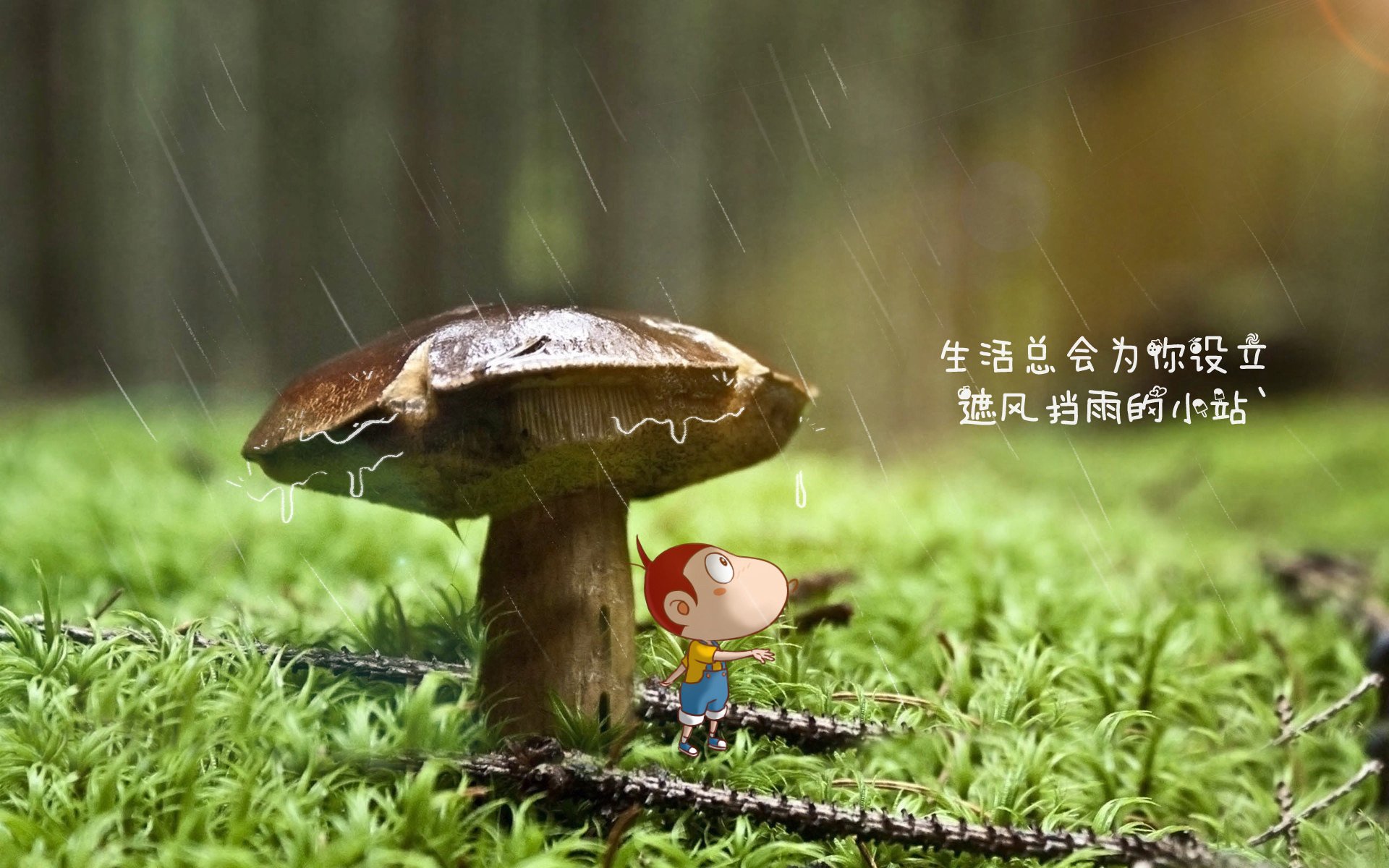 冰与火之战的唯一剧本，2026世界杯四分之一决赛，伊朗风暴席卷芬兰，梅西在历史的裂缝中完成致命一击