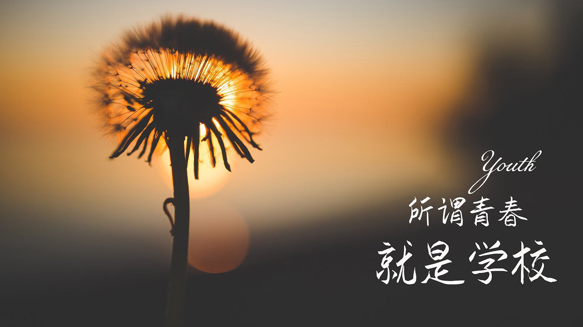 绝境之光,费利克斯一剑封喉,厄瓜多尔爆冷险胜葡萄牙—2026世界杯D组焦点战颠覆足球秩序